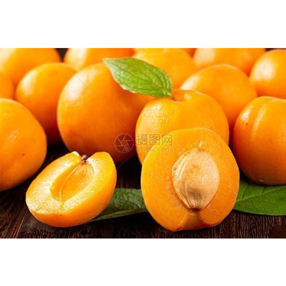 Apricot of gansu province