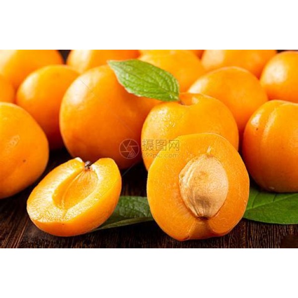 Apricot of gansu province