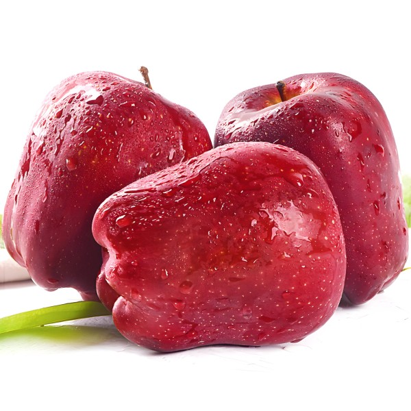 The sky water is splashed with cattle and apples